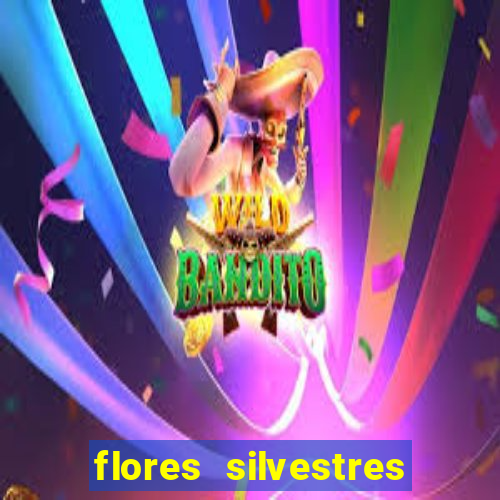 flores silvestres desbravadores desbravadores 25